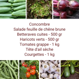 Panier MIDI Tout Légumes