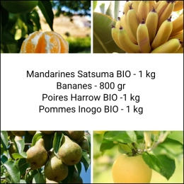 Panier Tout Fruits