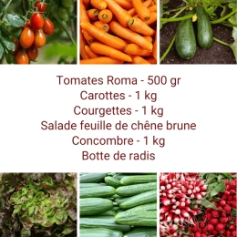 Panier MINI Tout Légumes