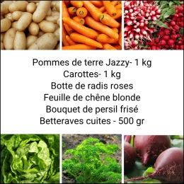 Panier MINI Tout Légumes