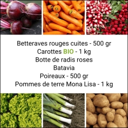 Panier MINI Tout Légumes