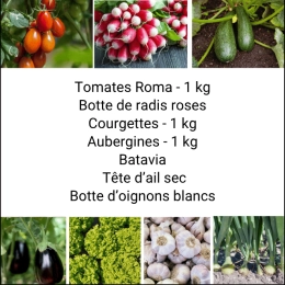 Panier MIDI Tout Légumes
