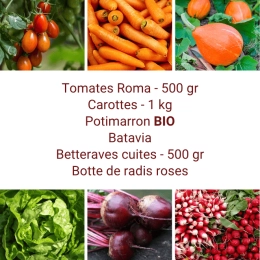 Panier MINI Tout Légumes
