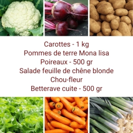 Panier MINI Tout Légumes