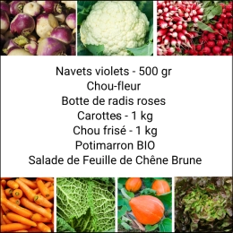 Panier MIDI Tout Légumes