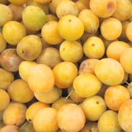 Mirabelles