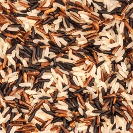Riz long Triade de Camargue IGP
