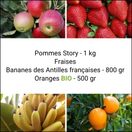 Panier tout Fruits