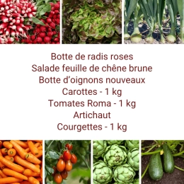 Panier MIDI Tout Légumes