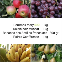 Panier tout Fruits