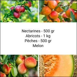 Panier tout Fruits