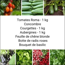 Panier MIDI Tout Légumes