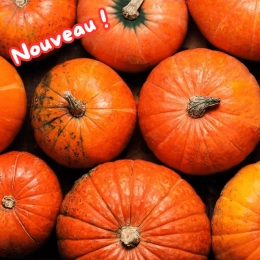 Potimarron