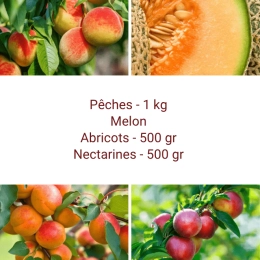 Panier tout Fruits