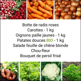 Panier MIDI Tout Légumes
