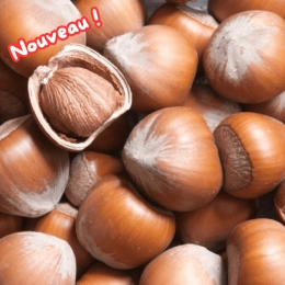 Noisettes