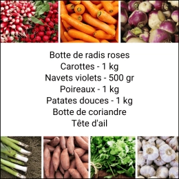 Panier MIDI Tout Légumes