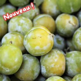 Cagette de Prunes Reine Claude de Bavay