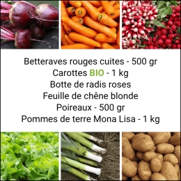 Panier MINI Tout Légumes
