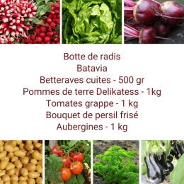 Panier MIDI Tout Légumes