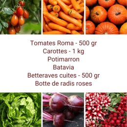Panier MINI Tout Légumes