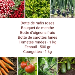 Panier MIDI Tout Légumes