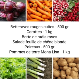 Panier MINI Tout Légumes
