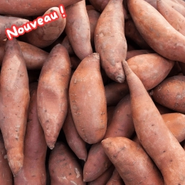 Cagette de patates douces
