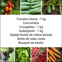 Panier MIDI Tout Légumes