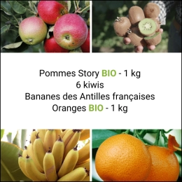 Panier Tout Fruits