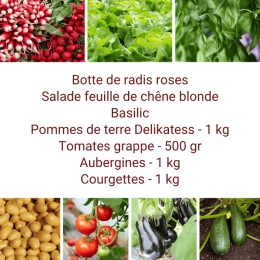 Panier MIDI Tout Légumes