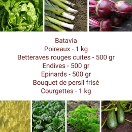 Panier MIDI Tout Légumes
