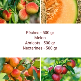 Panier tout Fruits