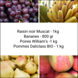 Panier Tout Fruits