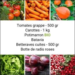 Panier MINI Tout Légumes