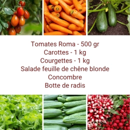Panier MINI Tout Légumes