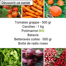 Panier MINI Tout Légumes