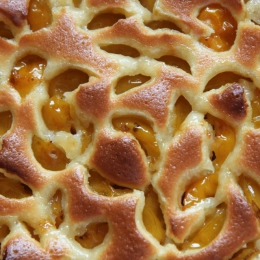 Clafoutis aux mirabelles