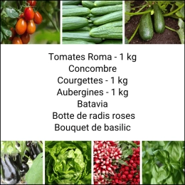 Panier MIDI Tout Légumes