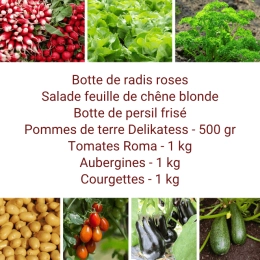 Panier MIDI Tout Légumes
