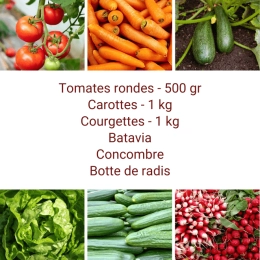 Panier MINI Tout Légumes