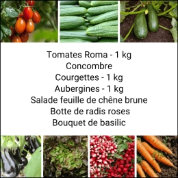 Panier MIDI Tout Légumes