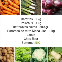 Panier MIDI Tout Légumes