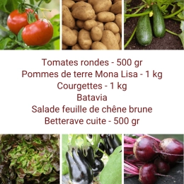 Panier MINI Tout Légumes