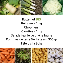 Panier MIDI Tout Légumes