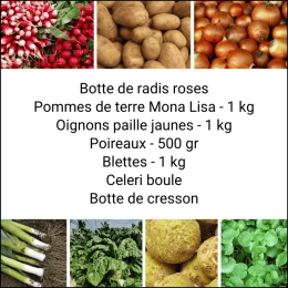 Panier MIDI Tout Légumes