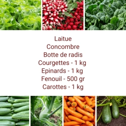 Panier MIDI Tout Légumes