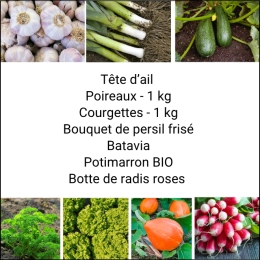 Panier MIDI Tout Légumes