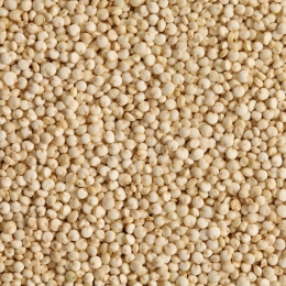 Quinoa blond