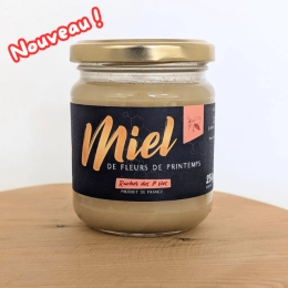 Petit miel de fleurs de printemps